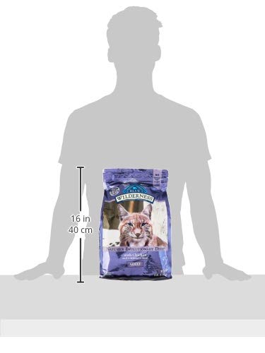 Blue Buffalo Wilderness Natural Adult Dry Cat Food, High-Protein and Grain-Free Diet, Supports Healthy Muscle Development and a Healthy Immune System, Chicken, 12-lb. Bag