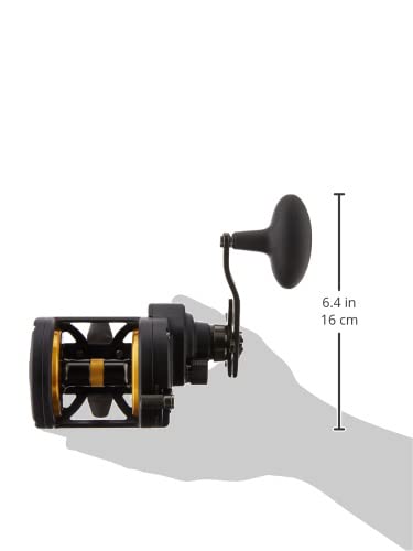 PENN Fathom II Star Drag Conventional Fishing Reel, Black Gold, 25N