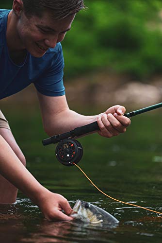 Martin Complete Fly Fishing Kit, 5/6 Rim-Control Fly Reel, Pre-spooled with Backing, Line and Leader, 3-Piece 8-Foot 5/6-Weight Rod, Includes Custom Fly Assortment
