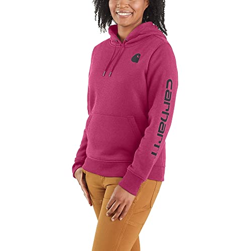 Carhartt Women's Clarksburg Graphic Sleeve Pullover Sweatshirt (Regular and Plus Sizes)