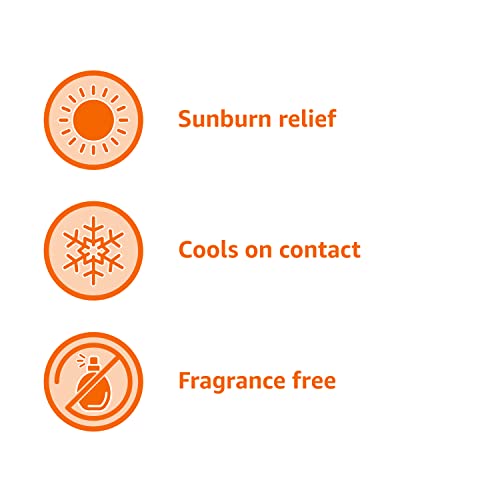 Amazon Basics Sunburn Relief Gel with Aloe Vera, Soothing, Cooling, Itch Relief, 8 oz, Pack of 1 (Previously Solimo)