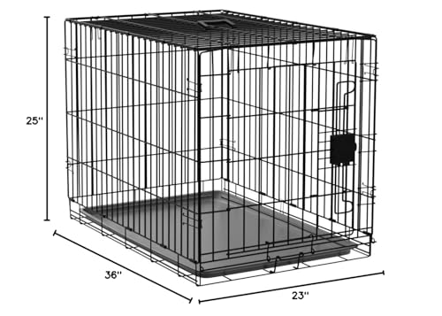 Amazon Basics Portable Metal Wire Dog Crate with Removable Tray, Single Door with Divider Panel, Foldable, Collapsible, Easy to Assemble & Clean, 36" x 23" x 25", Black