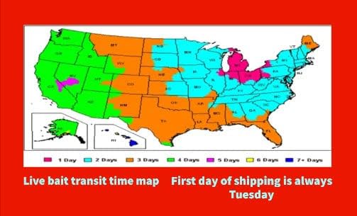 Big Canadian Nightcrawlers for Fishing by US Worm Supply Live delivery Guaranteed by Worlds Largest Supplier of Live Bait., neutral