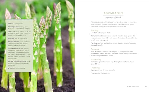 Raised-Bed Gardening for Beginners: Your Guide to Growing Sustainability and Self-Sufficiency
