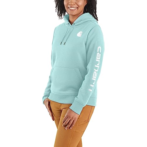 Carhartt Women's Clarksburg Graphic Sleeve Pullover Sweatshirt (Regular and Plus Sizes)