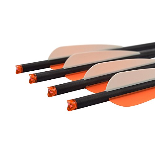 Carbon Crossbow Bolts 16 18 20 Inch Hunting Archery Arrows with 4" Vanes Replaced Arrowhead Tip (Pack of 12)