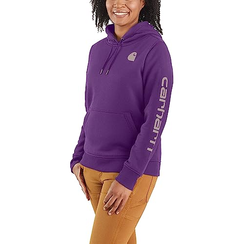 Carhartt Women's Clarksburg Graphic Sleeve Pullover Sweatshirt (Regular and Plus Sizes)