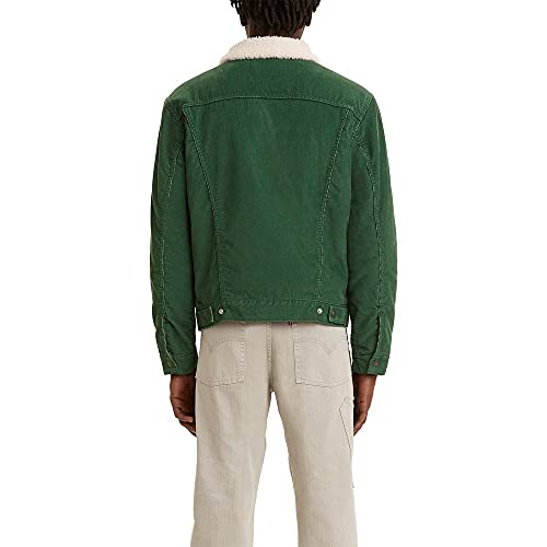 Levi's Men's Sherpa Lined Trucker Jacket (Also Available in Big & Tall)