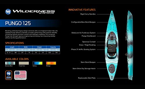 Wilderness Systems Pungo 125 | Sit Inside Recreational Kayak | Features Phase 3 Air Pro Comfort Seating | 12' 6" | Galaxy