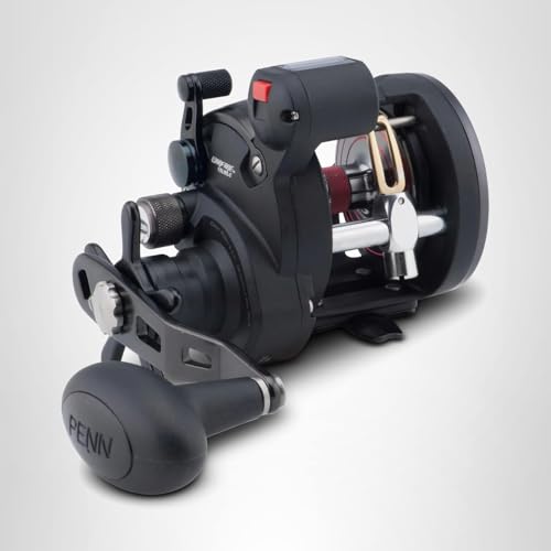 PENN Warfare Level Wind Conventional Nearshore/Lake Fishing Reel, HT-100 Star Drag, Max of 15lb | 6.8kg, Made with Corrosion-Resistant Graphite Frame