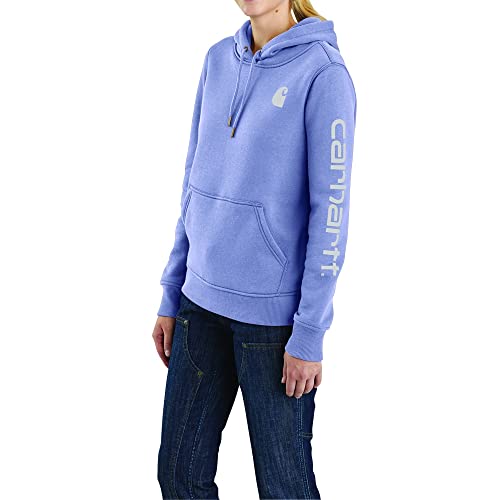 Carhartt Women's Clarksburg Graphic Sleeve Pullover Sweatshirt (Regular and Plus Sizes)
