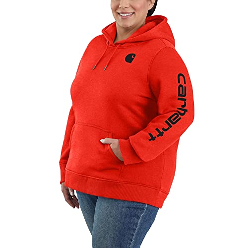Carhartt Women's Clarksburg Graphic Sleeve Pullover Sweatshirt (Regular and Plus Sizes)