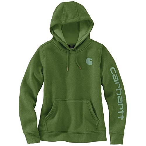 Carhartt Women's Clarksburg Graphic Sleeve Pullover Sweatshirt (Regular and Plus Sizes)