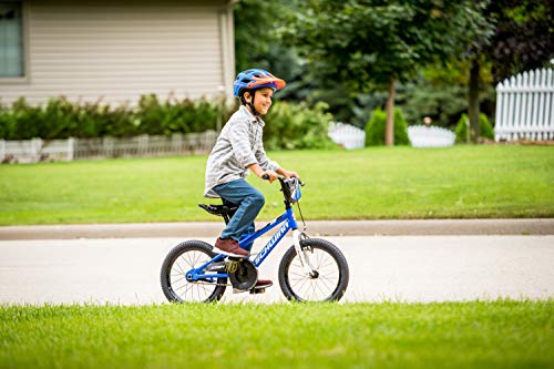 Schwinn Elm and Koen Bike or Balance Bike, 12-20 Inch Bike for Kids Ages 2-13, Black, Blue, Red, Teal, Pink or Purple, SmartStart Ergonomic Design, Adjustable Seat Grows with Child, Training Bicycle