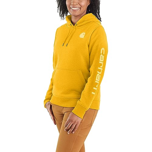 Carhartt Women's Clarksburg Graphic Sleeve Pullover Sweatshirt (Regular and Plus Sizes)