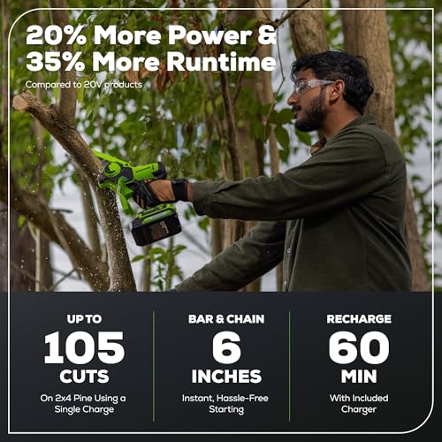 Greenworks 24V 6" Mini Chainsaw Cordless , Small Cordless Handheld Saw, 2.0Ah Battery and Charger Included, for Tree Trimming and Pruning