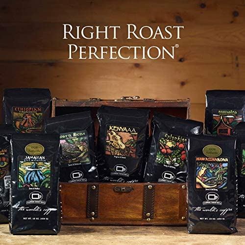 Indulgent Coffee Selection Gift Box | 100% Specialty Arabica Coffee | 12 Sample Bags of Medium Roast Ground Coffee