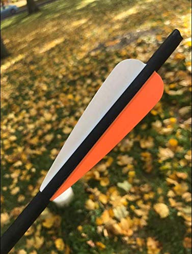 REEGOX Crossbow Bolts 16/18/20 inch Bio Crossbow Arrows with Moon Nocks and Removable Tips (Pack of 12)