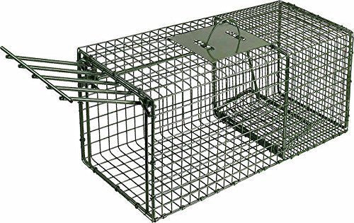 Duke Traps Heavy Duty Medium Cage Trap