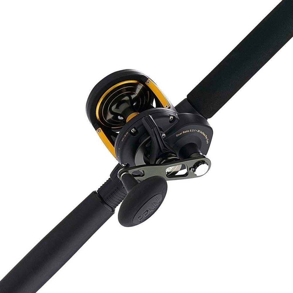 PENN Squall II Lever Drag Fishing Rod & Reel Combo