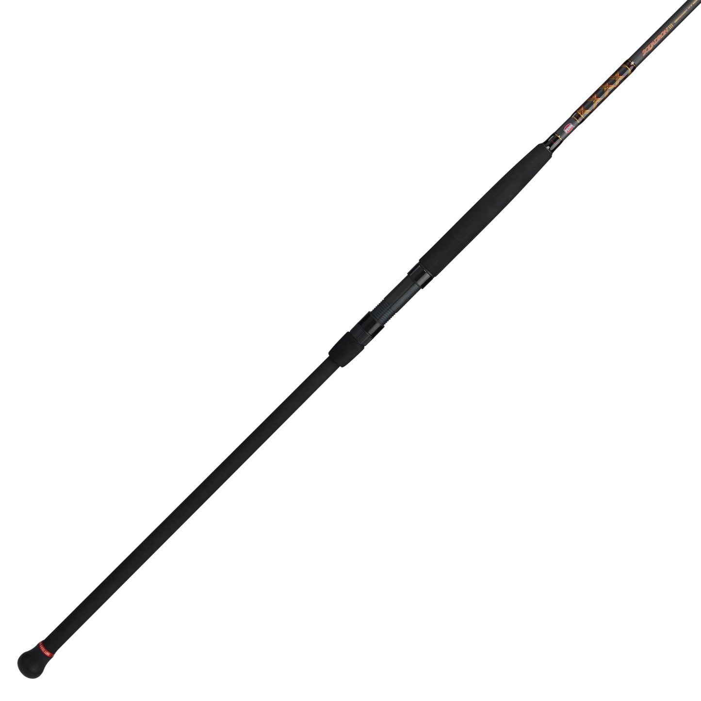 PENN Squadron III Surf Spinning Fishing Rod