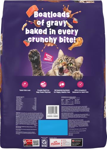 Purina Friskies Dry Cat Food Gravy Swirl'd With Flavors of Chicken, Salmon and Gravy - 22 lb. Bag