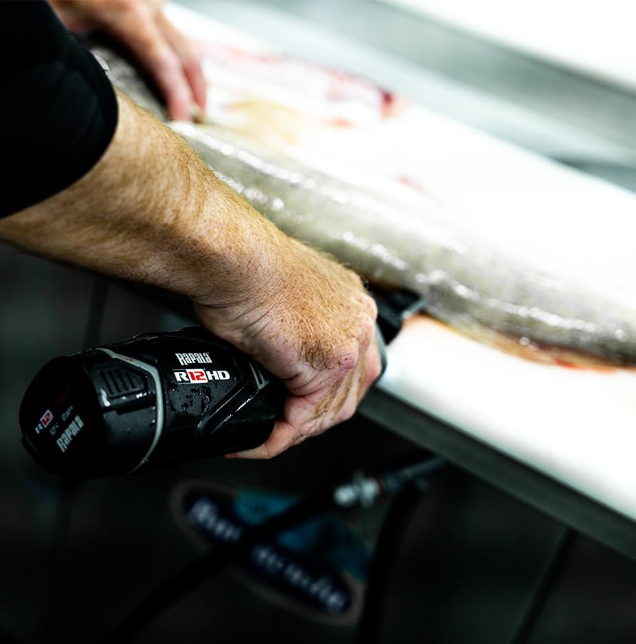 Rapala R12 Heavy-Duty Lithium Fillet Knife Combo
