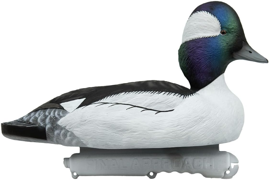 Final Approach Live Bufflehead Floating Duck Decoys, 6 Pack