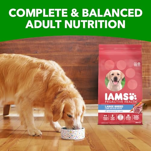 IAMS Proactive Health Large Breed Adult Dry Dog Food with Real Chicken, 30 lb. Bag