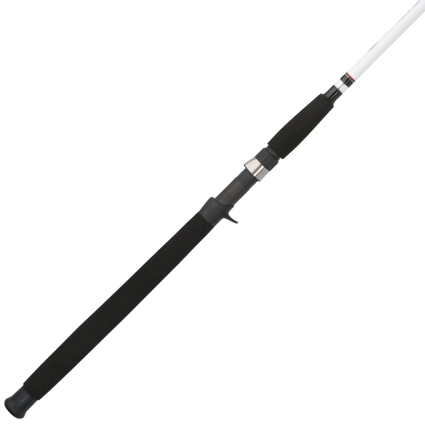 Berkley Big Game Casting Fishing Rod