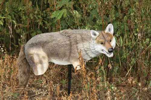 Lucky Duck Yote Coyote Decoy