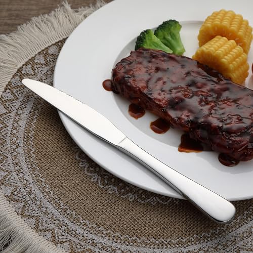 Amazon Basics Stainless Steel Dinner Knives with Round Edge, 10 Pack of 12, Silver, 120 count total