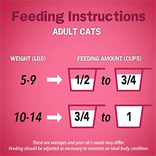 Purina Friskies Dry Cat Food Gravy Swirl'd With Flavors of Chicken, Salmon and Gravy - 22 lb. Bag