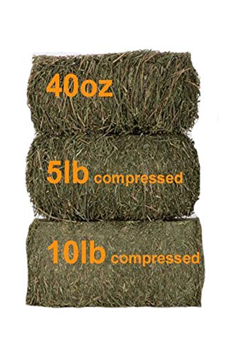Grandpa's Best Alfalfa Hay, 5 lbs