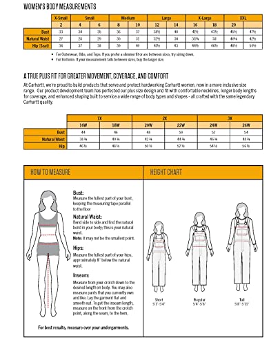 Carhartt Women's Relaxed Fit Midweight Crewneck Block Logo Sleeve Graphic Sweatshirt