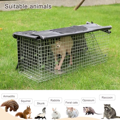 Live Animal Trap Cage Cover, Cat Trap for Stray Cats 32 Inch Folding Skunk Trap with Real Door for Raccoons, Opossums, Groundhogs, Skunks, Feral Cats, Squirrels (Only Cover)