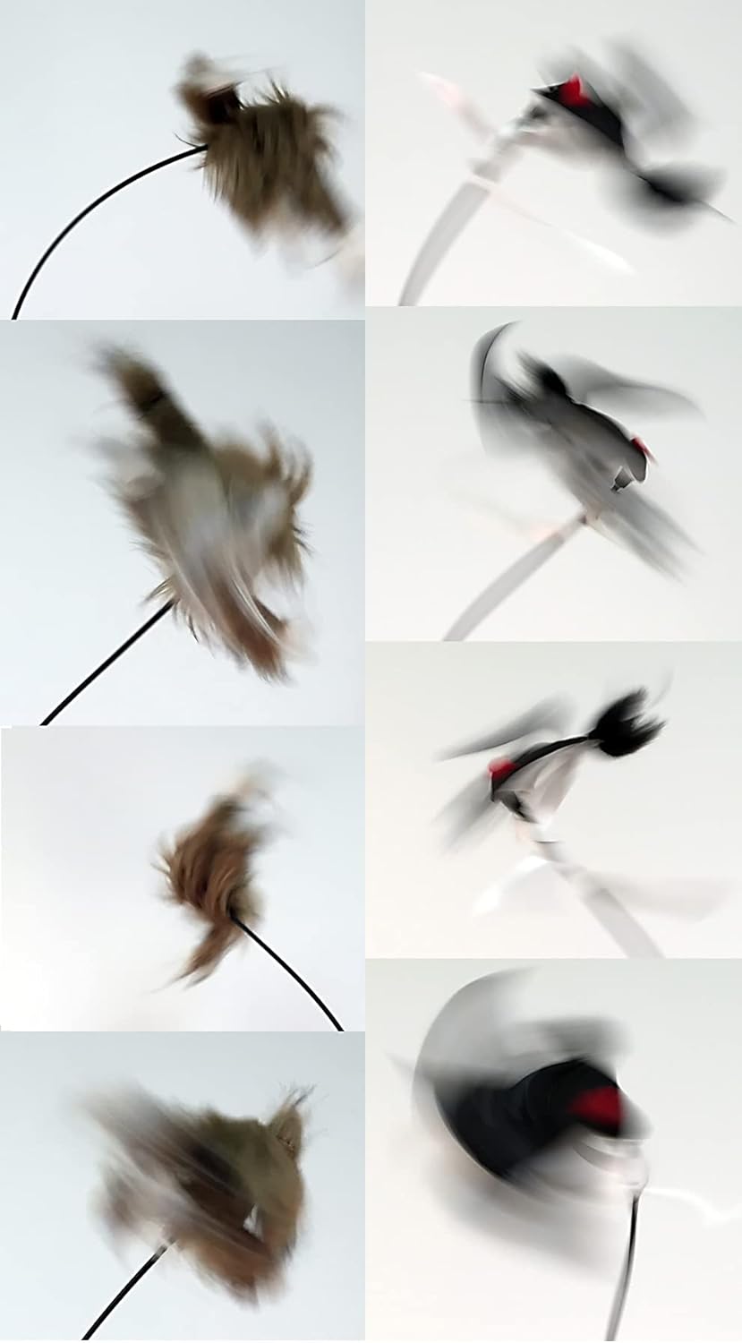 Icotec PD250 Universal Decoy - Ideal for Crow Hunting - 2 Toppers - Adjustable Speed - Works on All Major Call Brands