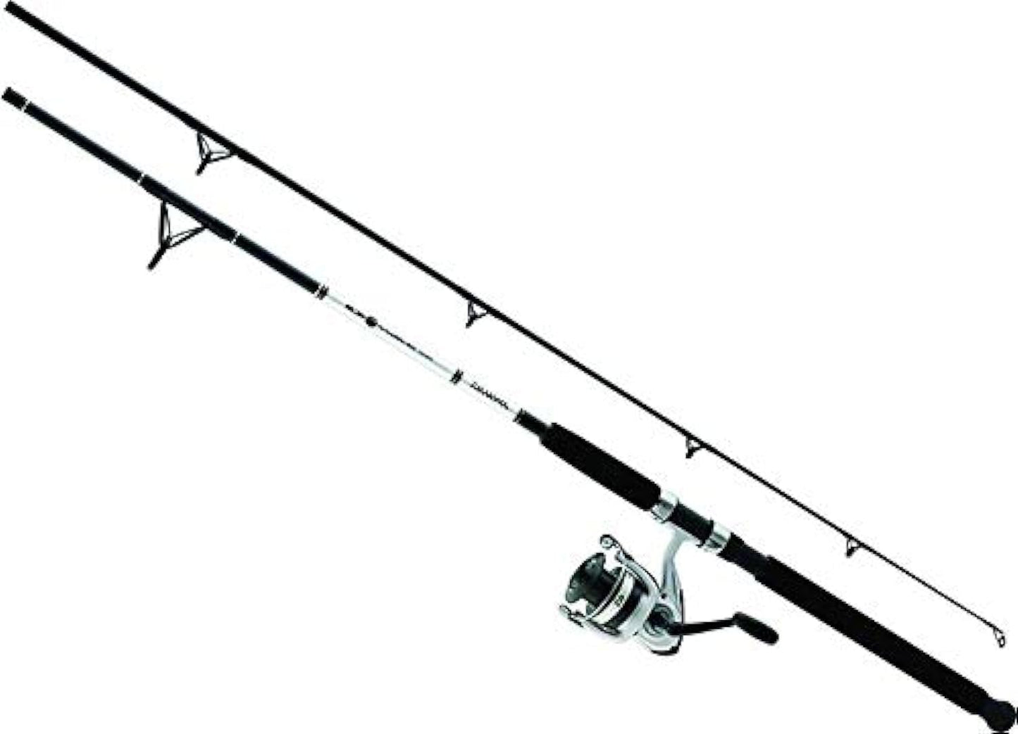 Daiwa D-Wave Saltwater Spinning Combo (2 Piece)