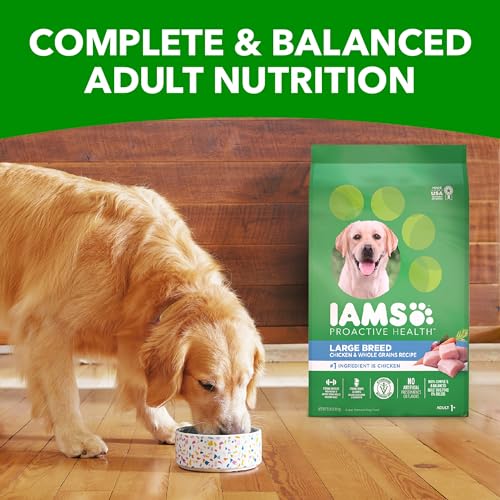 IAMS Proactive Health Large Breed Adult Dry Dog Food with Real Chicken, 30 lb. Bag