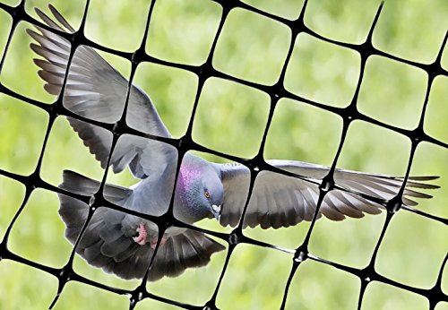Bird-X Deterrent Physical Barrier, Bird/Wildlife Control, 1400 sq ft (NET-STR-100), Black