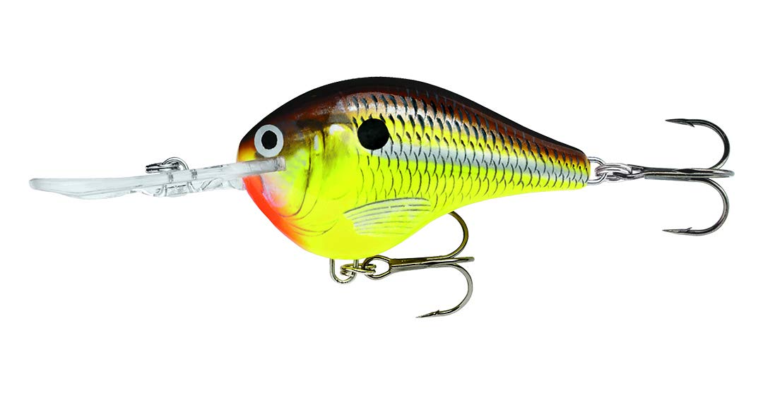 Rapala Rapala Dives to 04 Fishing Lure