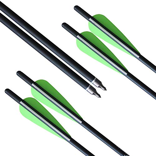 REEGOX Crossbow Bolts 16/18/20 inch Bio Crossbow Arrows with Moon Nocks and Removable Tips (Pack of 12)
