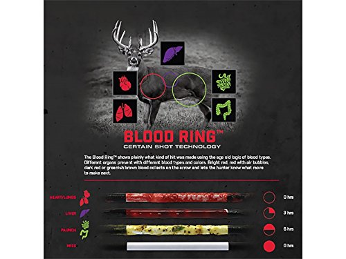 BLOODSPORT Standard Diameter Arrows