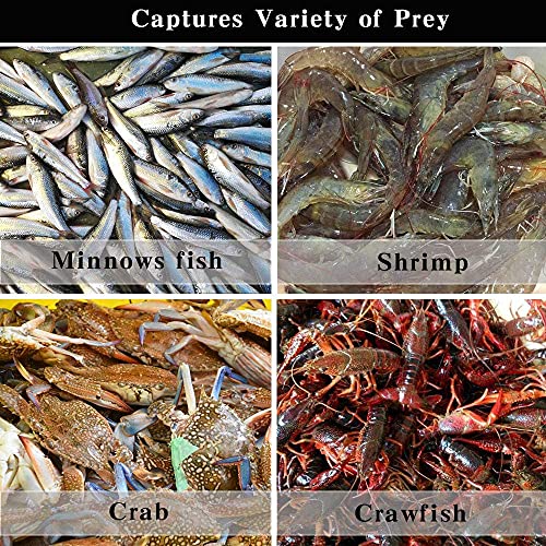 Drasry Saltwater Fishing Cast Net for Bait Trap with Heavy Sinkers Fish Throw Net. Size 3ft/4ft/5ft/6ft/7ft/8ft/9ft/10ft Radius Freshwater Nets