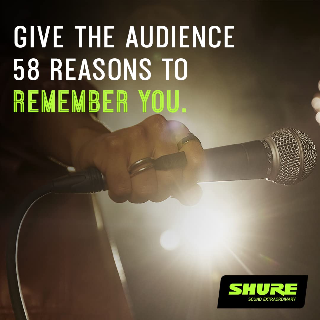Shure SM58 Pro XLR Dynamic Microphone with On/Off Switch - Professional Studio & Live Performance Cardioid Mic for Vocals, Podcasting, and Recording (SM58S)