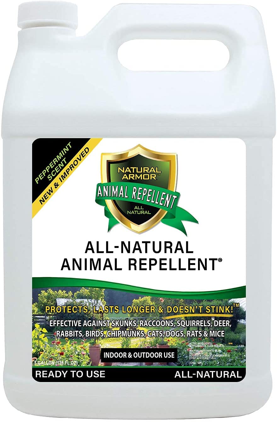 Natural Armor Animal & Rodent Repellent Spray. Repels Skunks, Raccoons, Rats, Mice, Deer Rodents & Critters. Repeller & Deterrent in Powerful Peppermint Formula – 128 Fl Oz Gallon Ready to Use