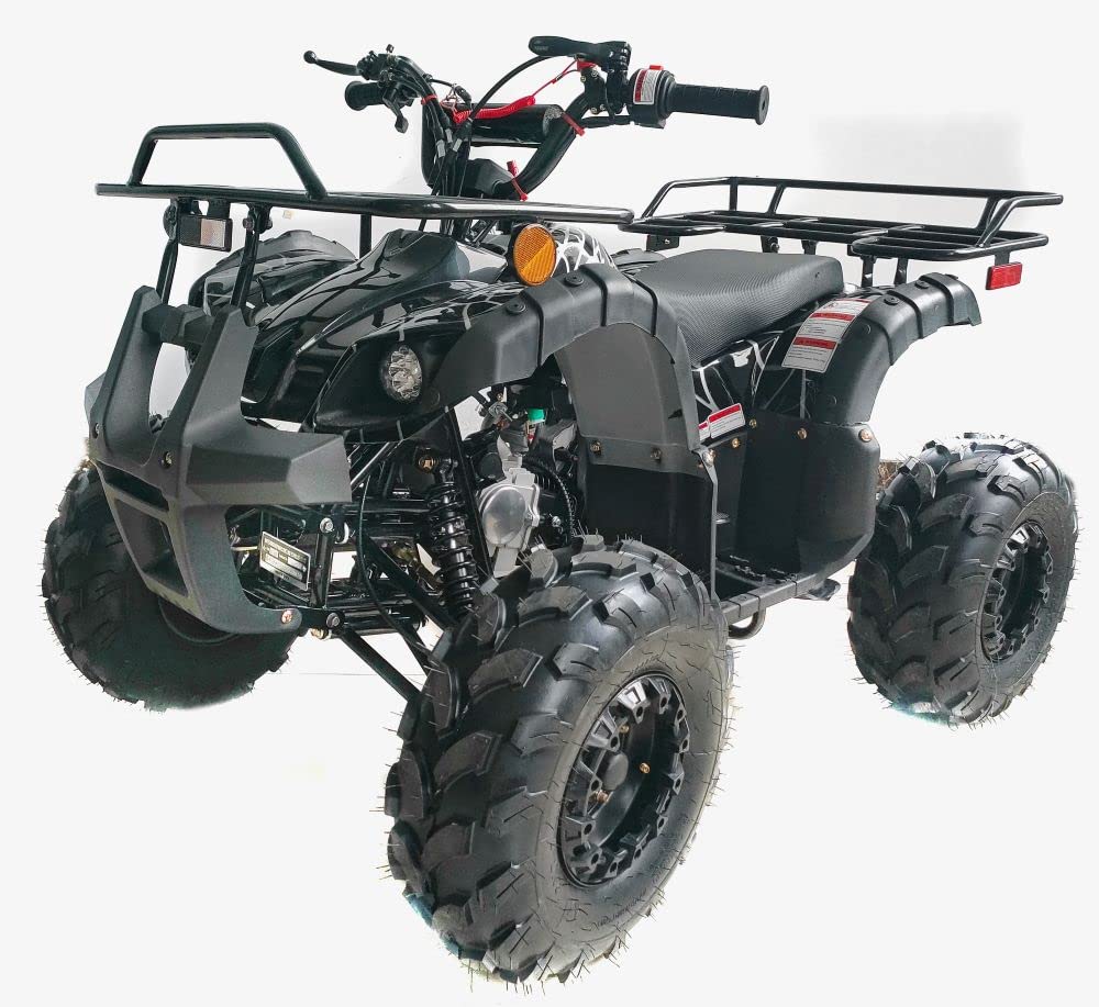 HHH 125cc ATV Quad Upgraded 125cc ATV with Reverse, Led Lights, Big Wide Tires with Matching Rims Gas 4 Wheeler for Youth and Children (Blue) (Factory Packaged)