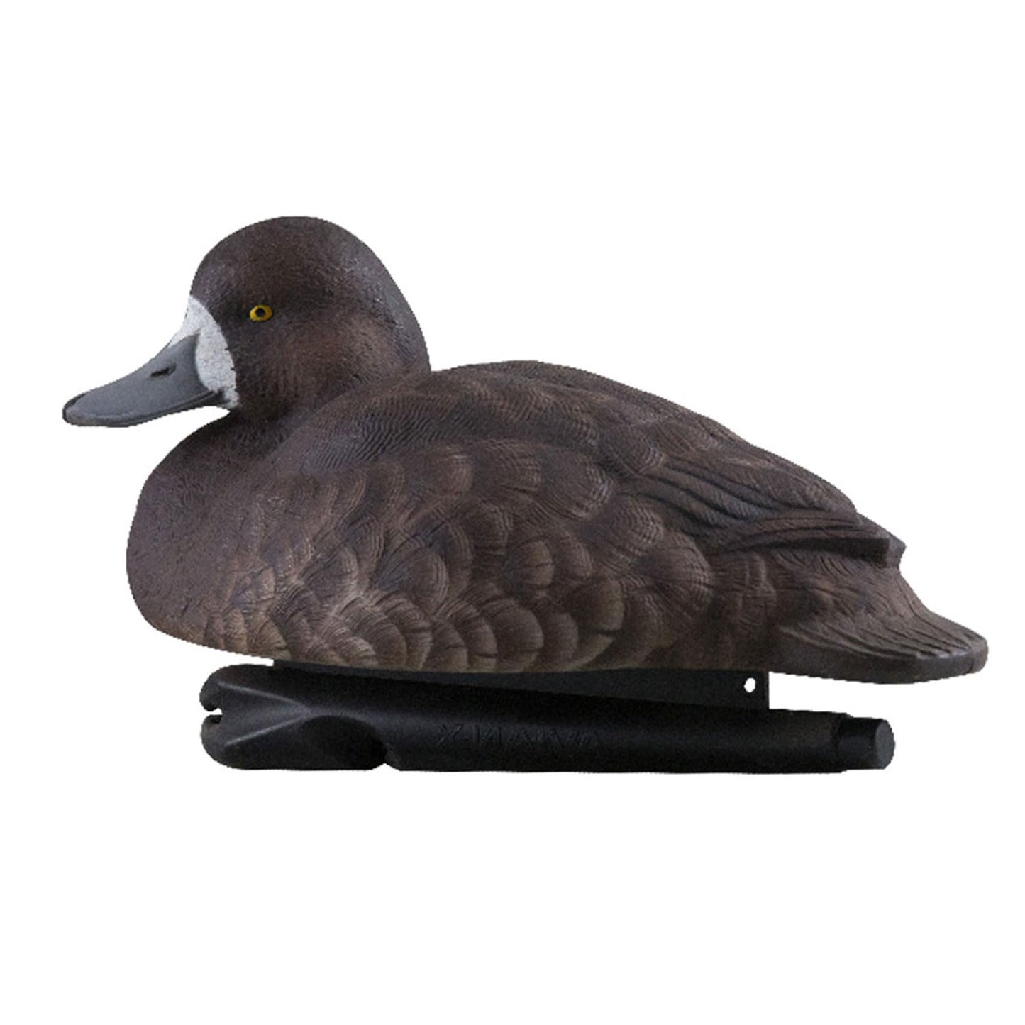 Avian-X Topflight Blue Bills Decoy Set Realistic Duck Decoys with Weight Forward Swim Keel, Greater and Lesser Blue Bills