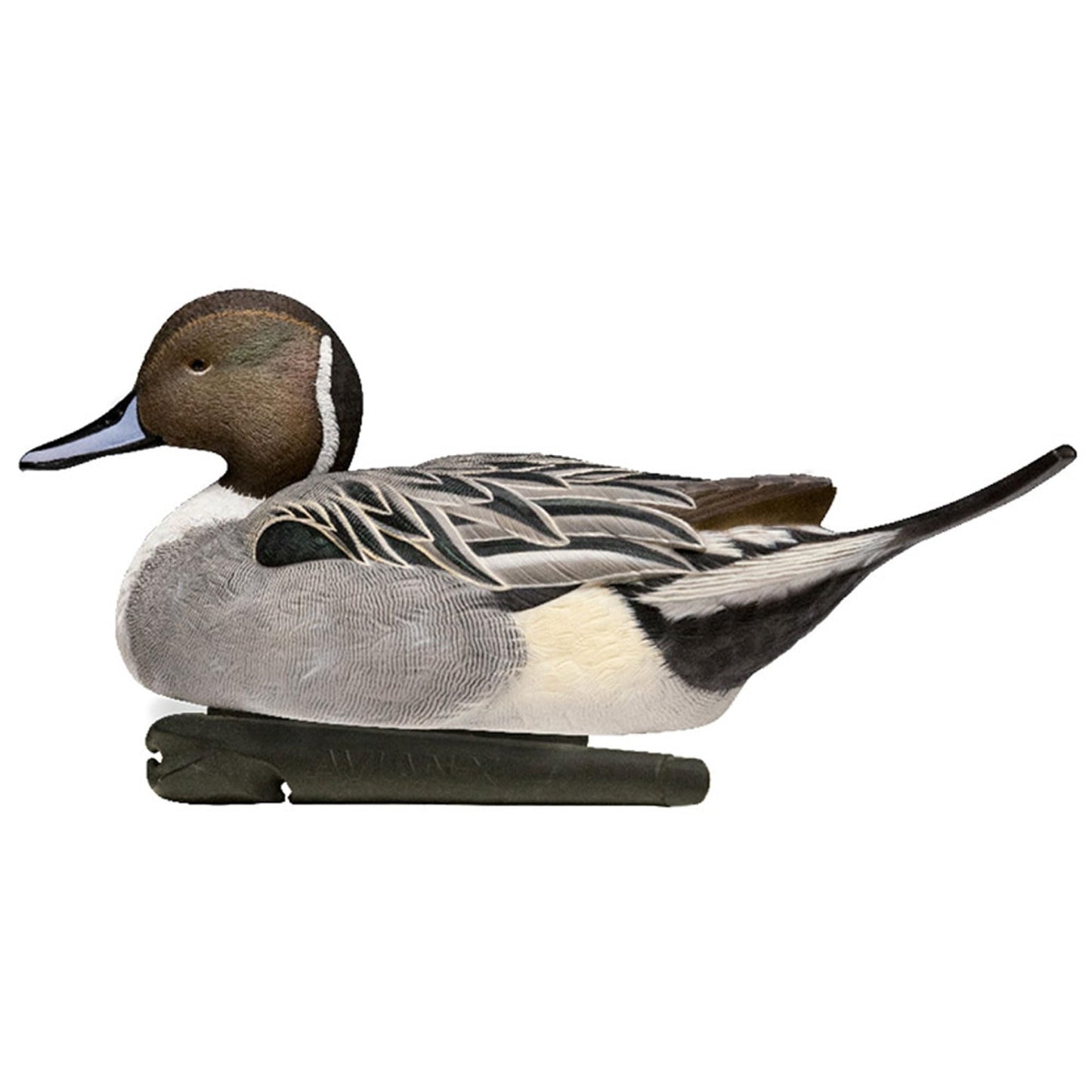 Avian X Topflight Pintail Decoys, Rugged Realistic Floating Duck Decoys for Hunting, Weight-Forward Swim Keel