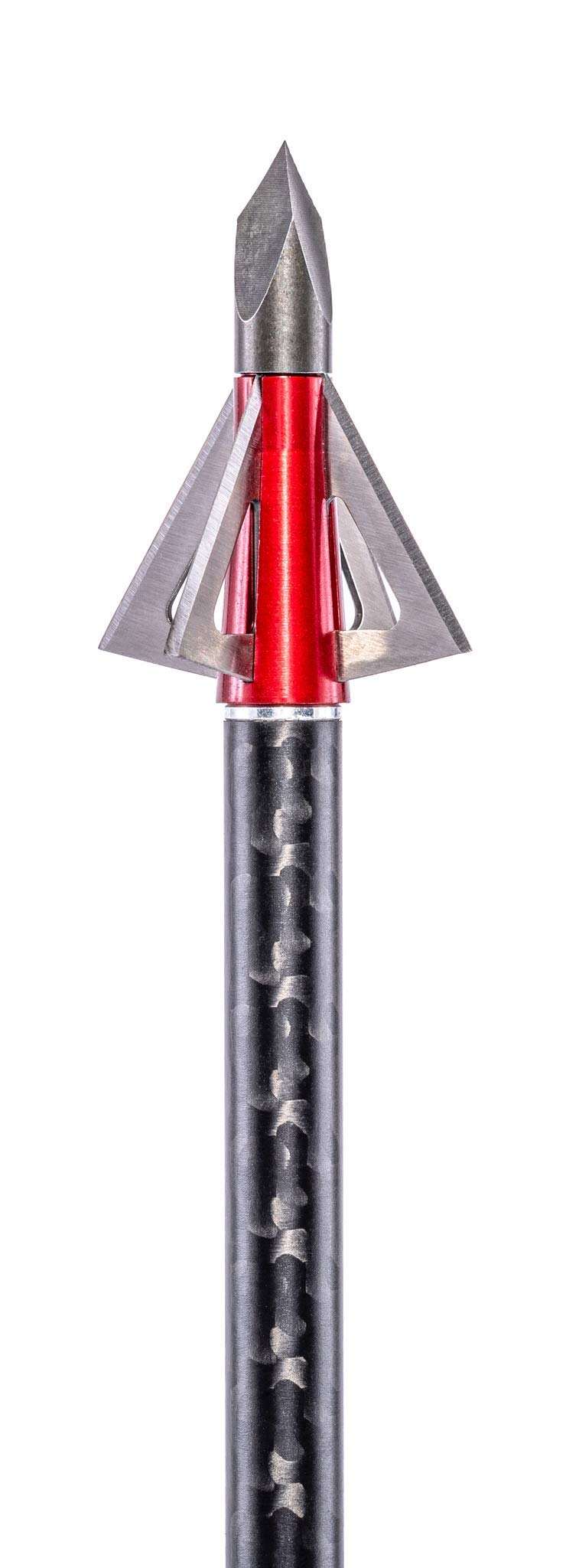 MuzzyBroadhead